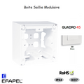 Boite Saillie Modulaire Quadro 45