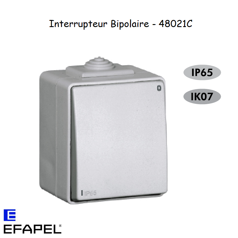 Interrupteur Bipolaire IP65 Gris ou Blanc