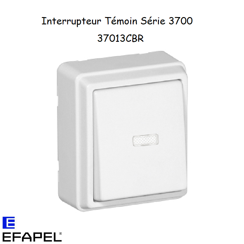 Interrupteur Témoin Blanc en saillie