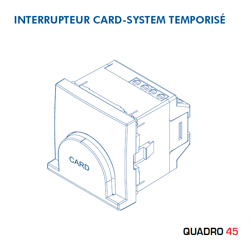 Interrupteur Card System Quadro 45 - 2 Modules