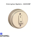 Interrupteur Bipolaire Vintage