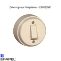 Interrupteur Unipolaire Vintage