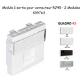 Module 1 Sortie pour Connecteur RJ45 - 2 Modules Quadro45