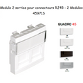 Module Double pour Connecteurs RJ45 - 2 Modules Quadro45