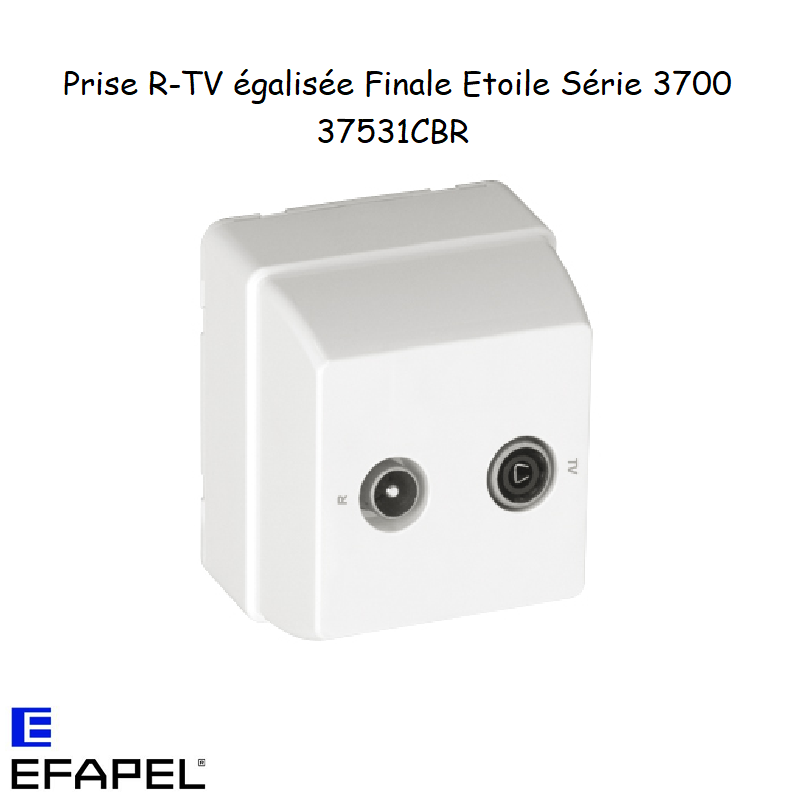 Prise R-TV Egalisée Finale/Etoile En saillie