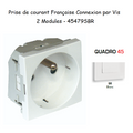 Prise de courant 2P+T avec protection Connexion par vis - Q45 BLANC