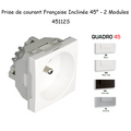Prise de Courant 2P+T Semi-Assemblée Quadro45 - Inclinée 45°