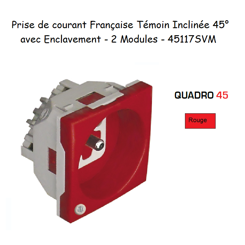Prise de Courant Française Témoin inclinée à 45° avec Enclavement