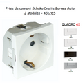 Prise de courant Schuko Bornes Auto avec protection - 2 Modules QUADRO 45