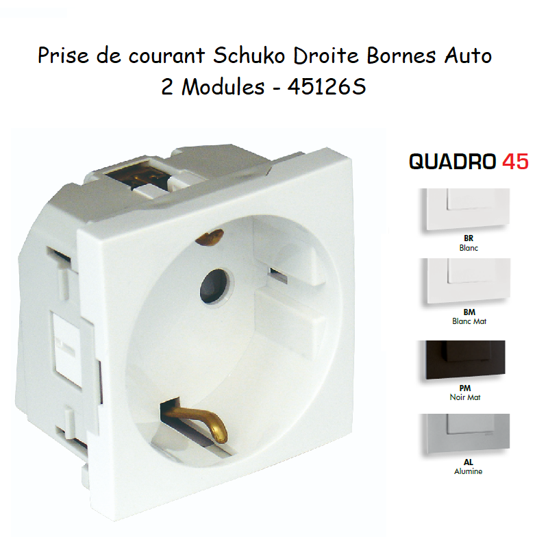 Prise de courant Schuko Bornes Auto avec protection - 2 Modules QUADRO 45