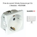Prise de courant Schuko Connexion par vis - 2 Modules Q45