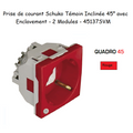 Prise de courant Schuko Témoin inclinée à 45° avec Enclavement Q45