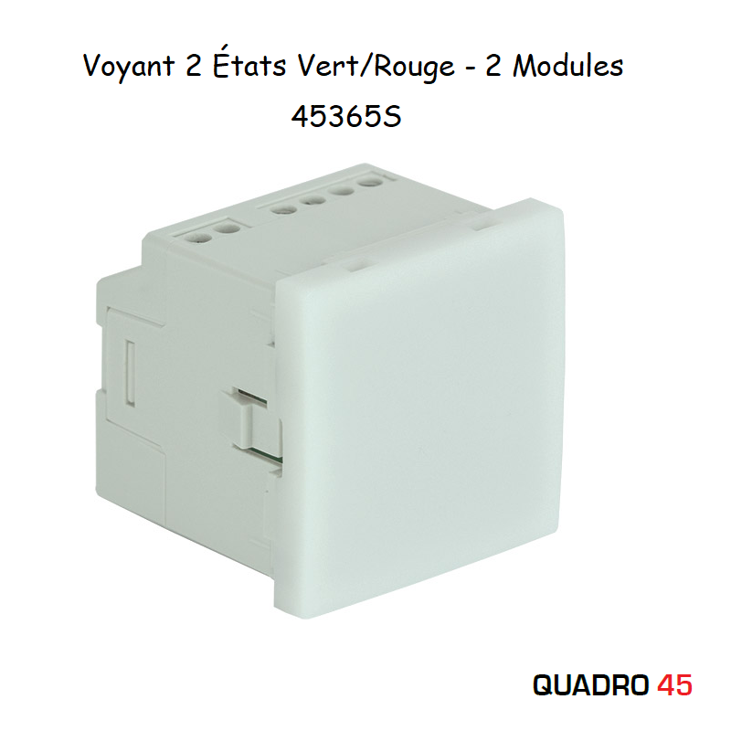 Voyant 2 états Vert/Rouge - 2 modules MEC Q45