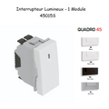 Interrupteur Lumineux Semi-Assemblé QUADRO45 - 1 Module
