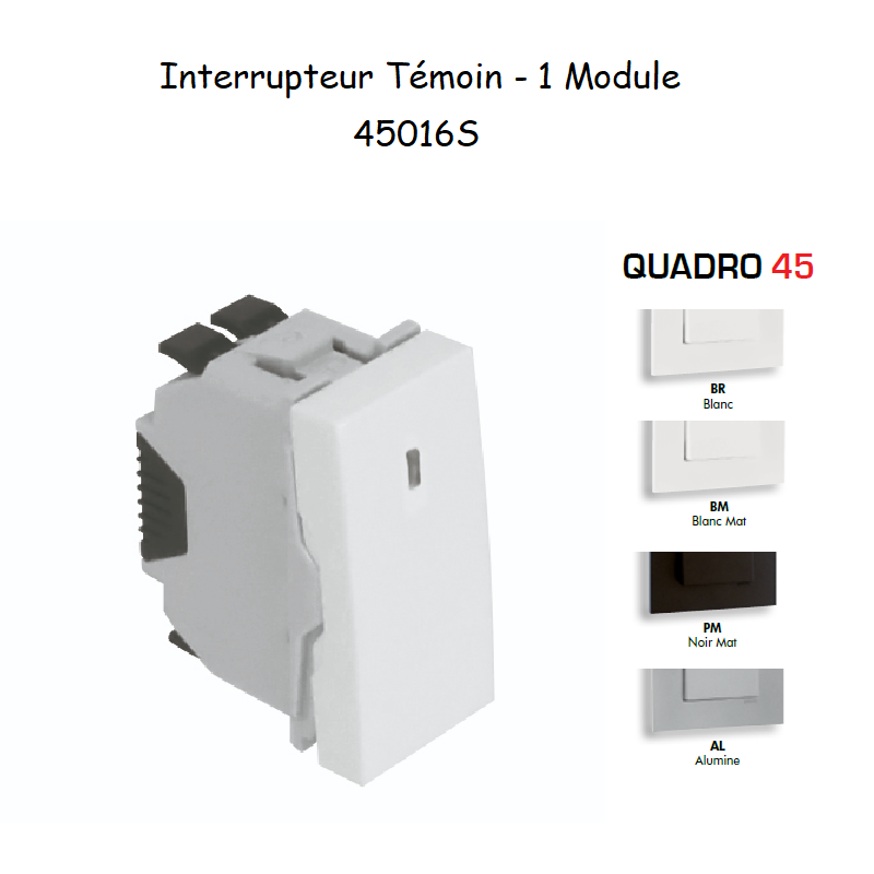 Interrupteur Témoin Semi-Assemblé QUADRO45 - 1 Module