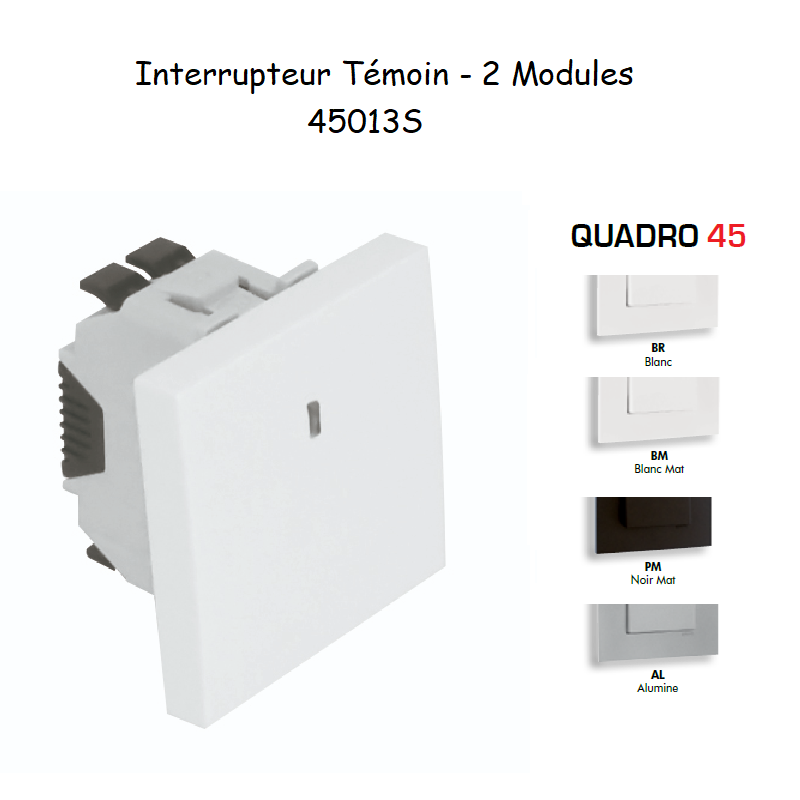 Interrupteur Témoin Semi-Assemblé QUADRO45 - 2 Modules