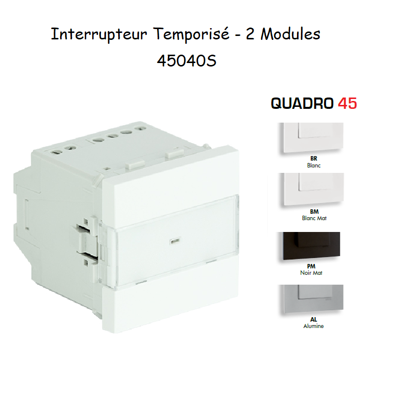 Interrupteur Temporisé Quadro 45 - 2 Modules