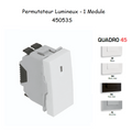 Permutateur Lumineux - 1 Module QUADRO 45