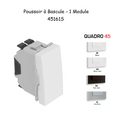 Poussoir à Bascule Semi-Assemblé - 1 Module QUADRO 45