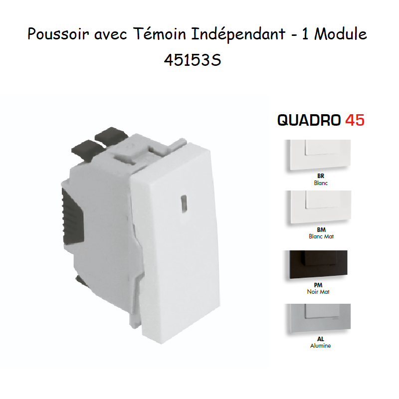 Poussoir à bascule Témoin indépendant 1 Module MEC Q45