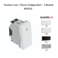 Poussoir à bascule Témoin indépendant 1 Module MEC Q45