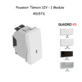 Poussoir à bascule Témoin 12V - 1 Module MEC Q45