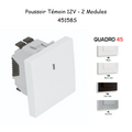 Poussoir à bascule Témoin 12V - 2 Modules MEC Q45