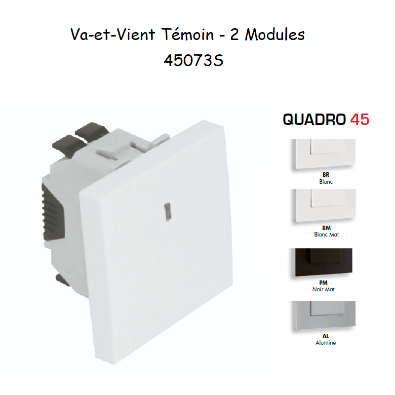 Va-et-Vient Témoin Semi-Assemblé - 2 Modules QUADRO 45